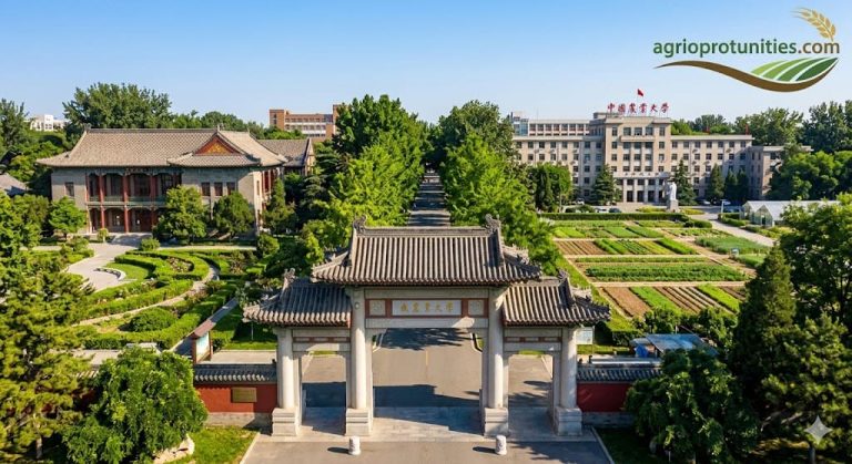 China Agricultural University campus gate with lush green trees and gardens, representing top agriculture universities in China for CSC Scholarship 2026-2027 international students