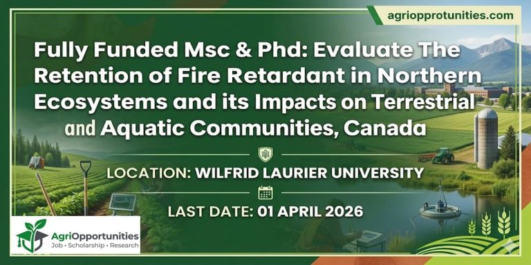 fully funded MSc & PhD scholarship Canada opportunity. This research position focuses on evaluating the retention of fire retardant in northern ecosystems