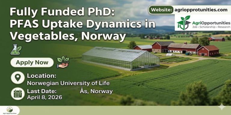 🎓Fully Funded PhD: PFAS Uptake Dynamics in Vegetables, Norway