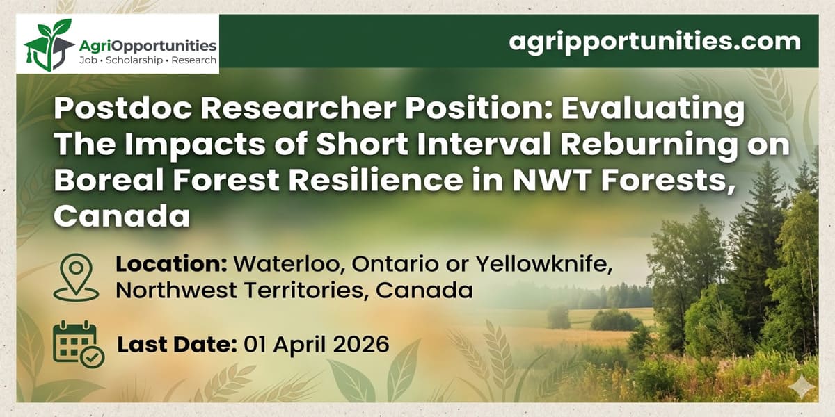 Evaluating The Impacts of Short Interval Reburning on Boreal Forest Resilience in NWT Forests