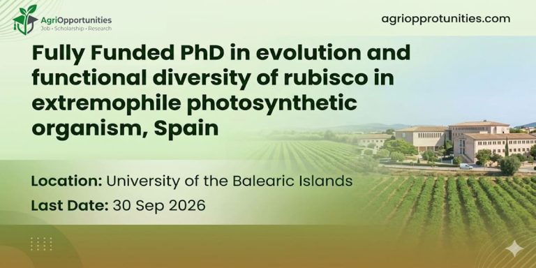 Fully Funded PhD in evolution and functional diversity of rubisco in extremophile photosynthetic organisms, Spain