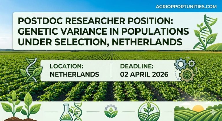 Postdoc Researcher Position: Genetic Variance in Populations Under Selection, Netherlands