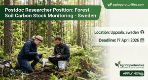 Postdoc Researcher Position: Forest Soil Carbon Stock Monitoring - Sweden