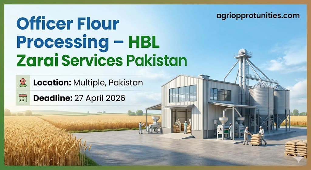 Officer Flour Processing – HBL Zarai Services Pakistan
