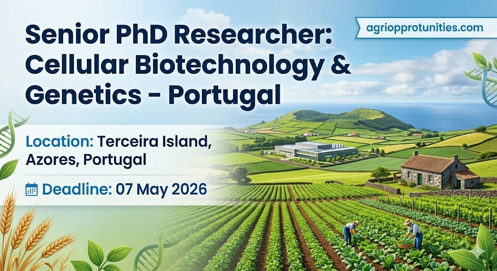 Senior PhD Researcher: Cellular Biotechnology & Genetics - Portugal