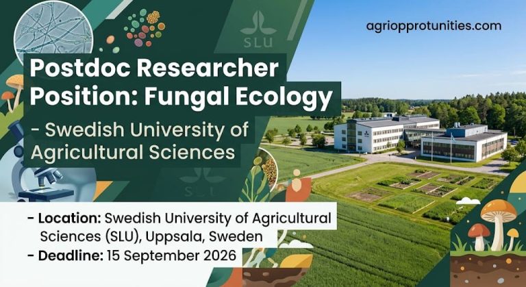 Postdoc Researcher Position: Fungal Ecology -Swedish University of Agricultural Sciences