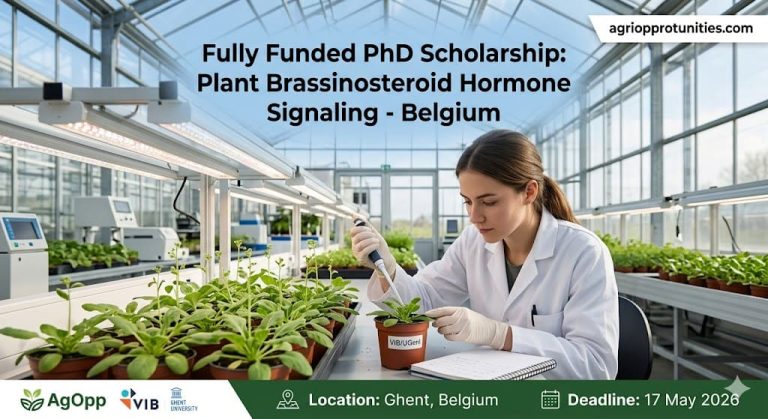 Fully Funded PhD Scholarship: Plant Brassinosteroid Hormone Signaling - Belgium