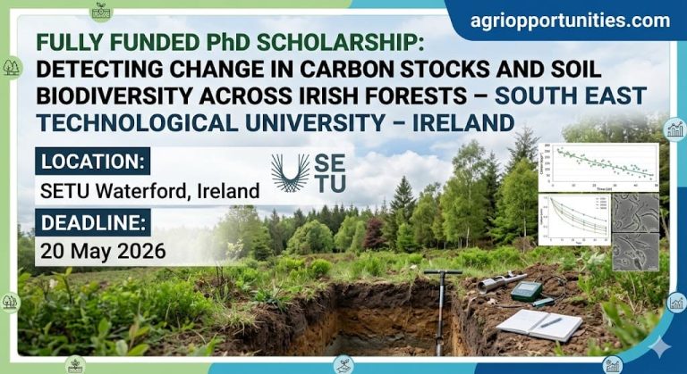 Fully Funded PhD Scholarship: Detecting Change in Carbon Stocks and Soil Biodiversity Across Irish Forests - South East Technological University - Ireland