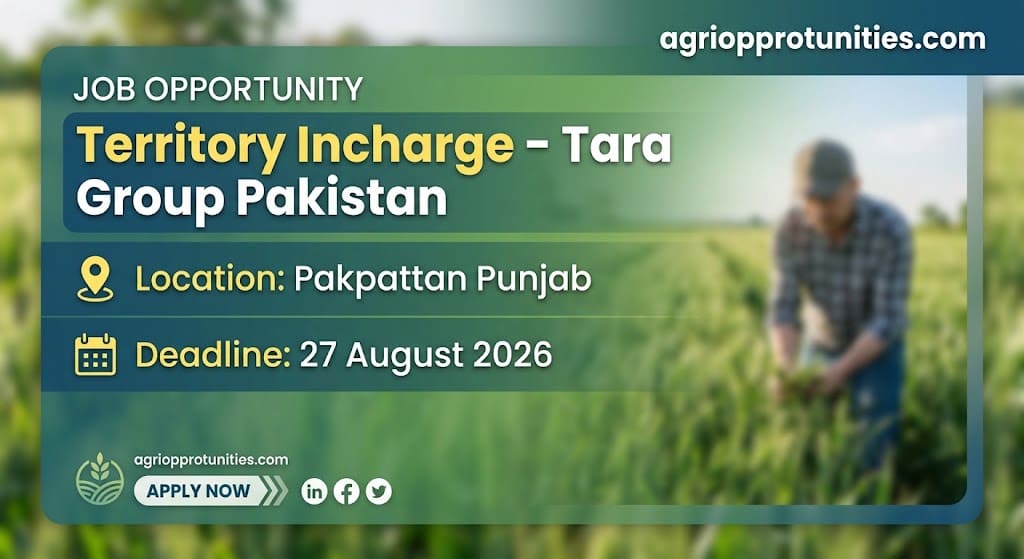 Territory Incharge - Tara Group Pakistan