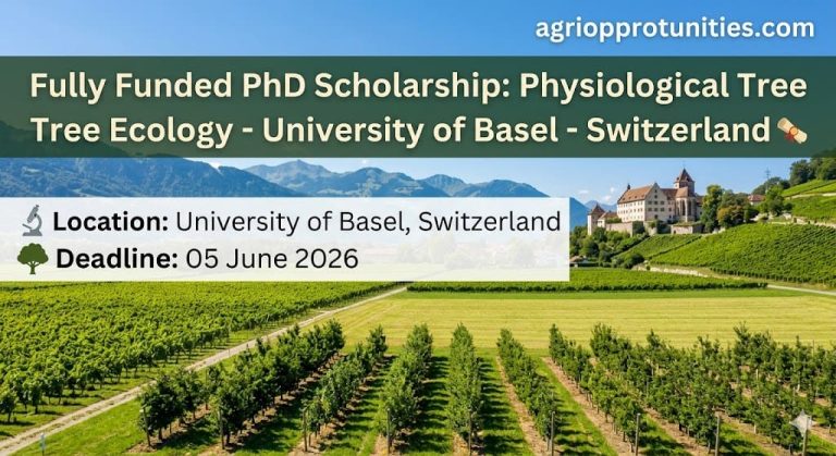 Fully Funded PhD Scholarship: Physiological Tree Ecology - University of Basel - Switzerland