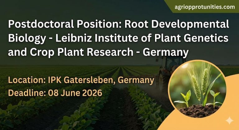 Postdoctoral Position: Root Developmental Biology - Leibniz Institute of Plant Genetics and Crop Plant Research - Germany