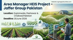 Area Manager HEIS Project - Jaffer Group Pakistan