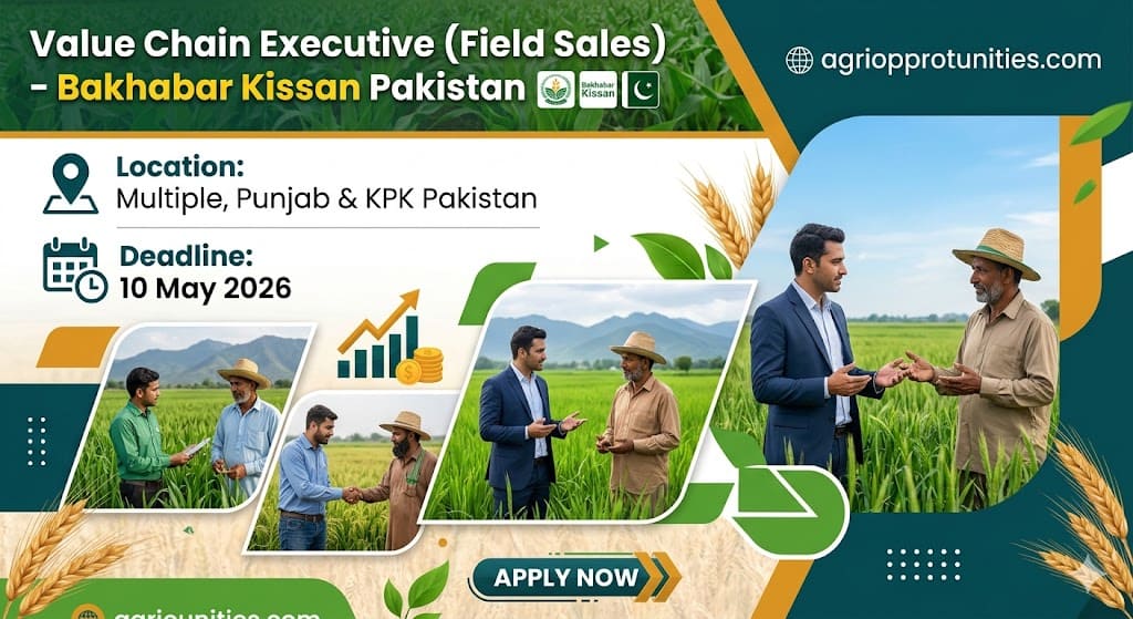 Value Chain Executive (Field Sales) - Bakhabar Kissan Pakistan