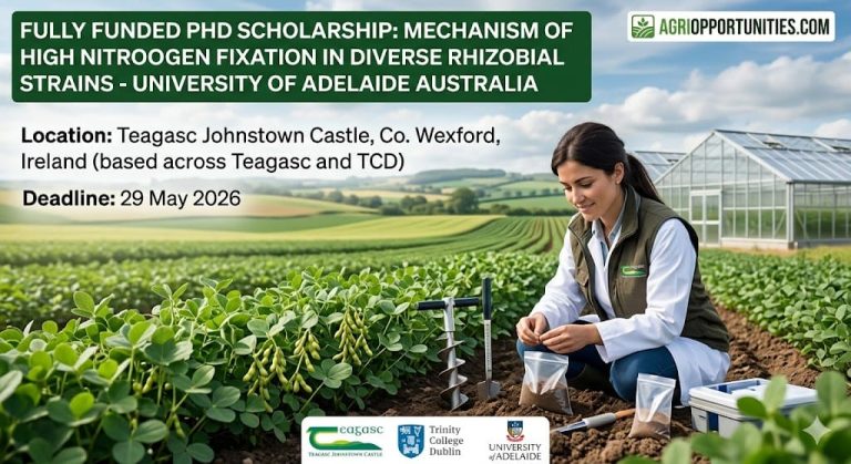 Applications are open for a PhD N2O Emissions Agriculture Ireland position at Teagasc Johnstown Castle and Trinity College Dublin. The project quantifies N2O emissions associated with cover cropping and organic manure management in Irish tillage systems.