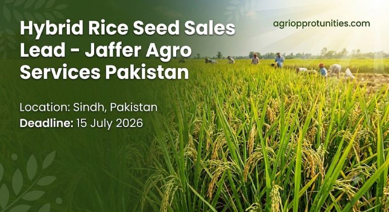 Hybrid Rice Seed Sales Lead - Jaffer Agro Services Pakistan