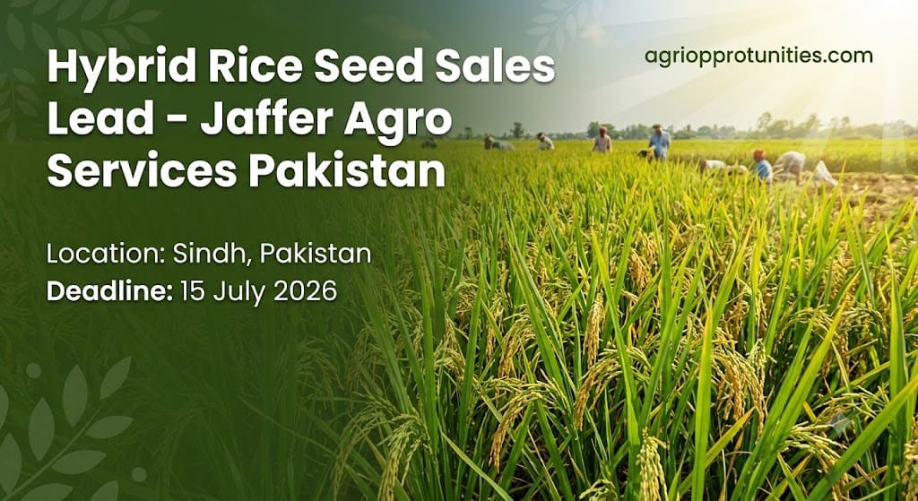 Hybrid Rice Seed Sales Lead - Jaffer Agro Services Pakistan