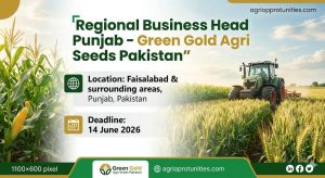 Regional Business Head Punjab - Green Gold Agri Seeds Pakistan