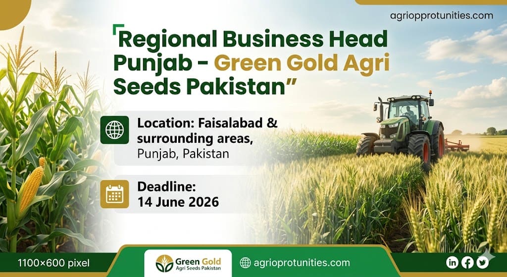 Regional Business Head Punjab - Green Gold Agri Seeds Pakistan