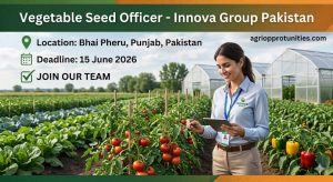 Vegetable Seed Officer - Innova Group Pakistan
