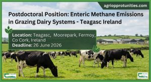 Postdoctoral Position: Enteric Methane Emissions in Grazing Dairy Systems - Teagasc Ireland