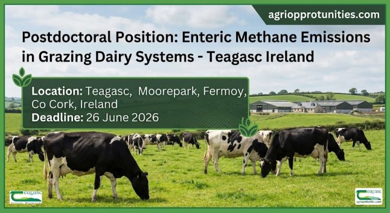 Postdoctoral Position: Enteric Methane Emissions in Grazing Dairy Systems - Teagasc Ireland