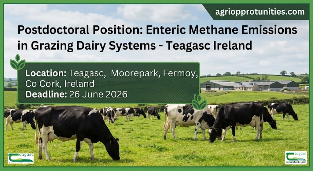 Postdoctoral Position: Enteric Methane Emissions in Grazing Dairy Systems - Teagasc Ireland