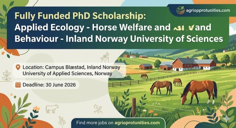 Fully Funded PhD Scholarship: Applied Ecology - Horse Welfare and Behaviour - Inland Norway University of Applied Sciences
