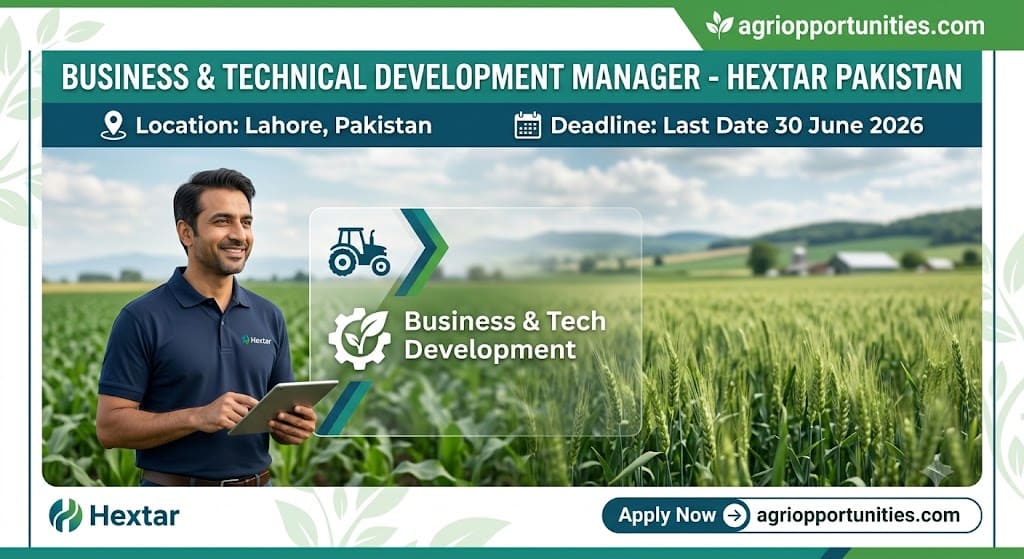 Business & Technical Development Manager - Hextar Pakistan