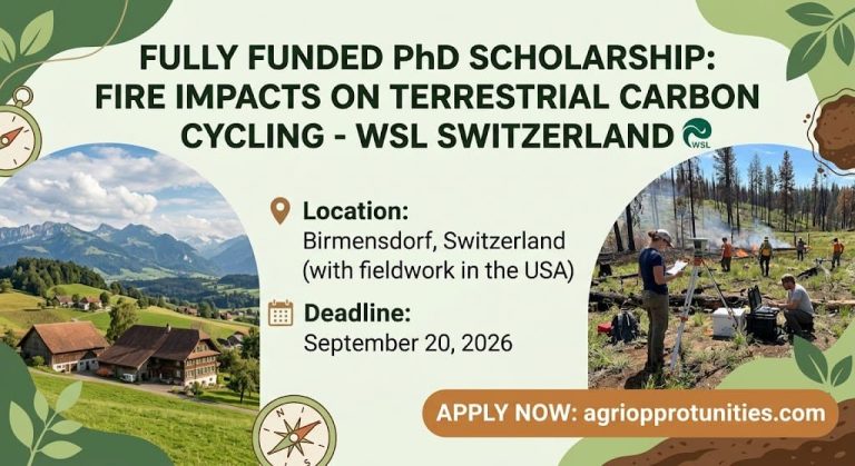 Fully Funded PhD Scholarship: Fire Impacts on Terrestrial Carbon Cycling - WSL Switzerland