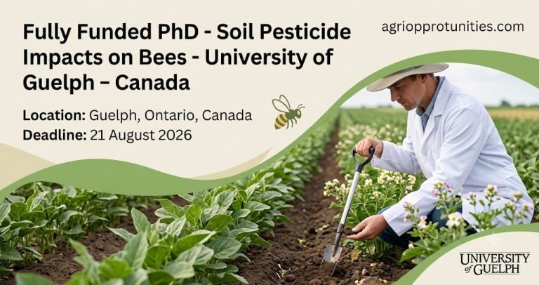 Fully Funded PhD - Soil Pesticide Impacts on Bees - University of Guelph - Canada