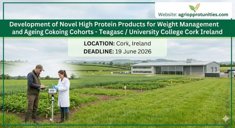 Fully Funded PhD Scholarship: Development of Novel High Protein Products for Weight Management and Ageing Cohorts - Teagasc / University College Cork Ireland