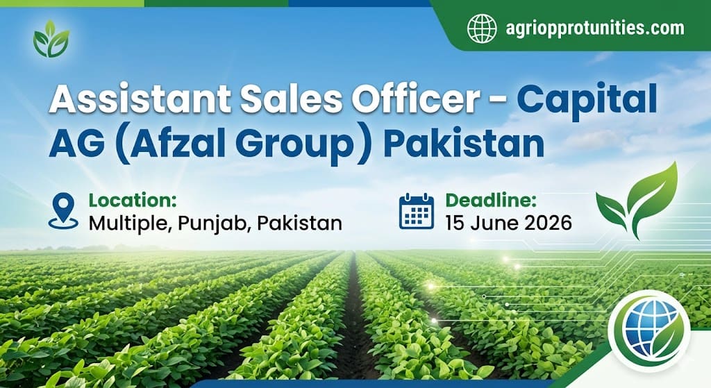 Assistant Sales Officer - Capital AG (Afzal Group) Pakistan