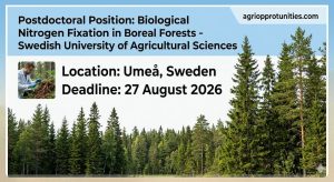 Postdoctoral Position: Biological Nitrogen Fixation in Boreal Forests - Swedish University of Agricultural Sciences