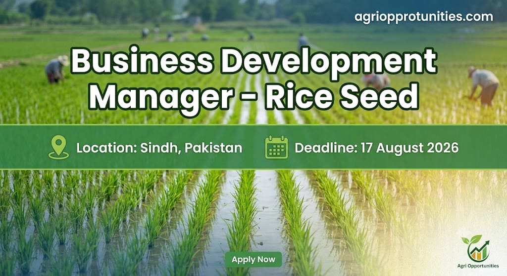 Hybrid Rice Seed Sales Lead - Jaffer Agro Services Pakistan