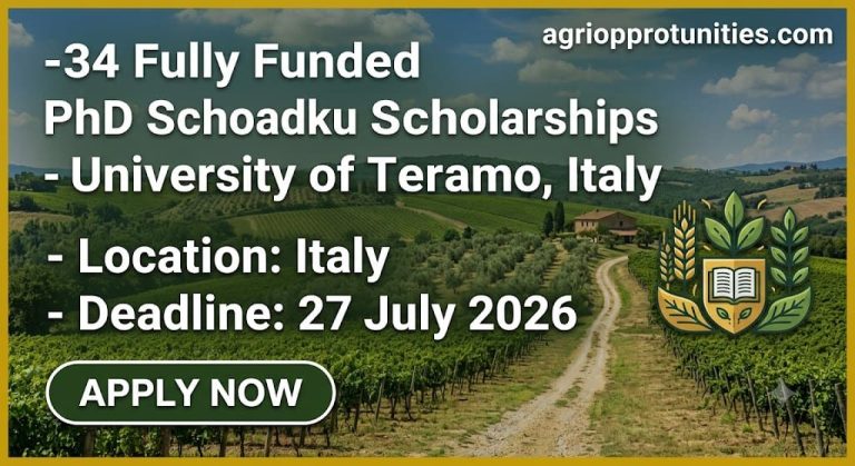34 Fully Funded PhD Scholarships - University of Teramo, Italy