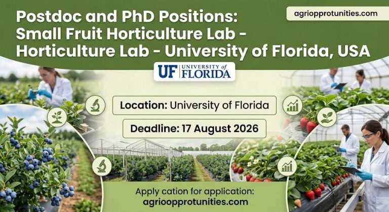 Postdoc and PhD Positions: Small Fruit Horticulture Lab - University of Florida, USA