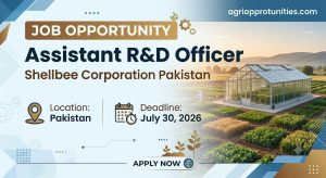Assistant R&D Officer - Shellbee Corporation Pakistan