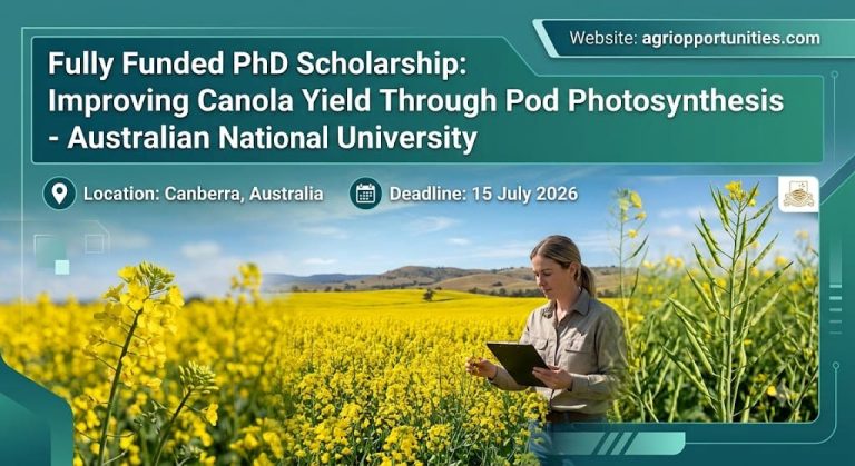 Fully Funded PhD Scholarship: Improving Canola Yield Through Pod Photosynthesis - Australian National University