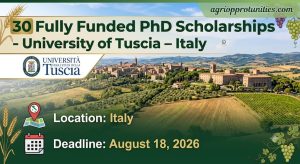 30 Fully Funded PhD Scholarships - University of Tuscia - Italy