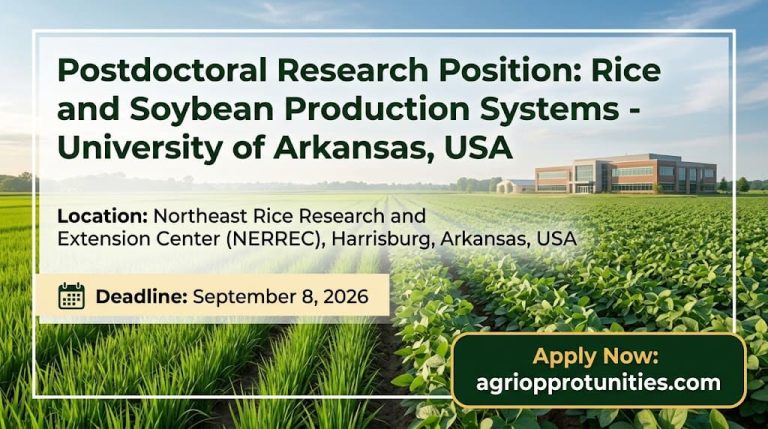 Postdoctoral Research Position: Rice and Soybean Production Systems - University of Arkansas, USA