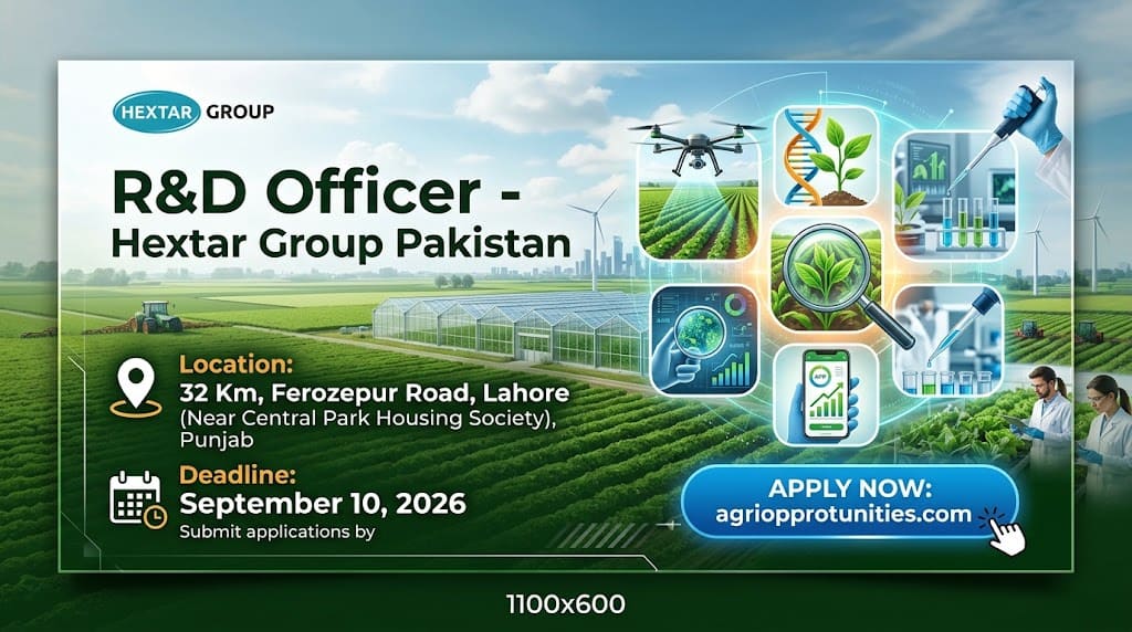 R&D Officer - Hextar Group Pakistan
