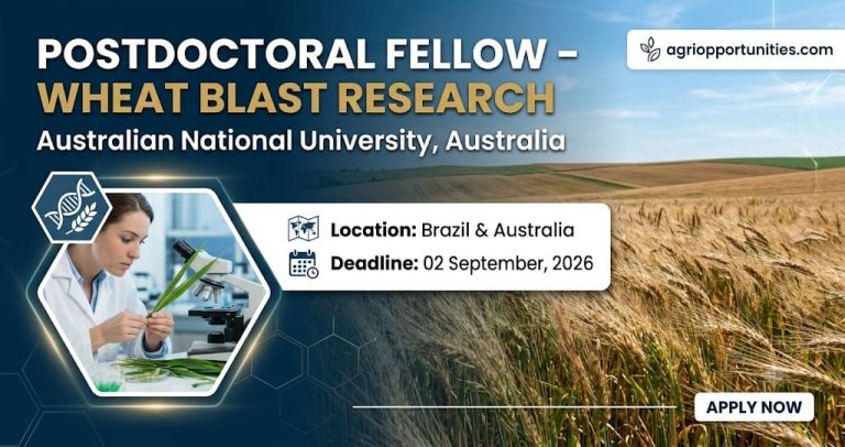 Postdoctoral Fellow - Wheat Blast Research - Australian National University, Australia