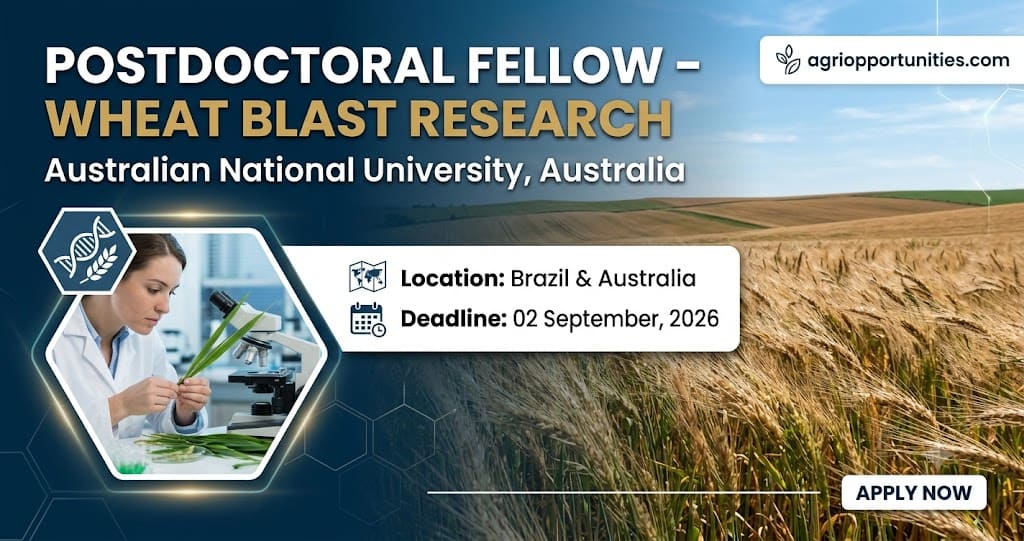 Postdoctoral Fellow - Wheat Blast Research - Australian National University, Australia