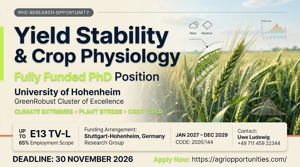 Fully Funded PhD Position: Yield Stability and Nutritional Crop Physiology, University of Hohenheim, Germany