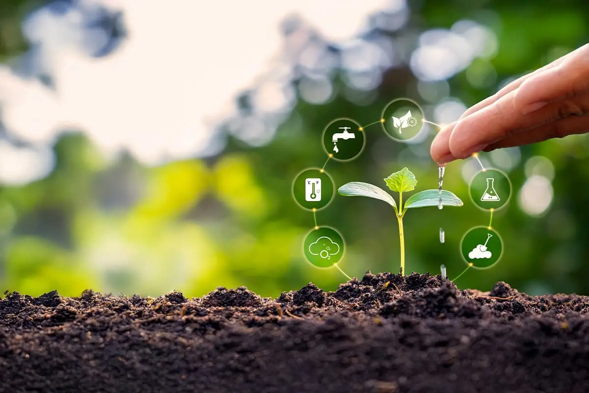 Regenerative agriculture field and crops